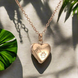 Heart and Paw Memorial Pendant – Stainless Steel Urn Pendant