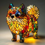 Simba | Pomeranian Solar Glow